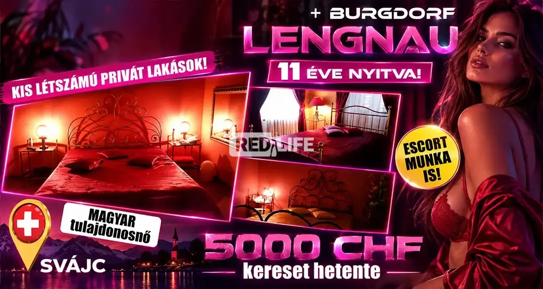 Escort munka is ellenőrzött vendégkörrel!