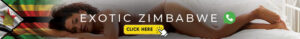 Zim porn