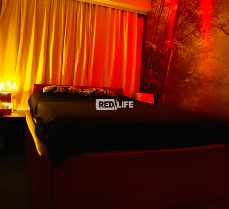 Club Casanova XL erotic adult
